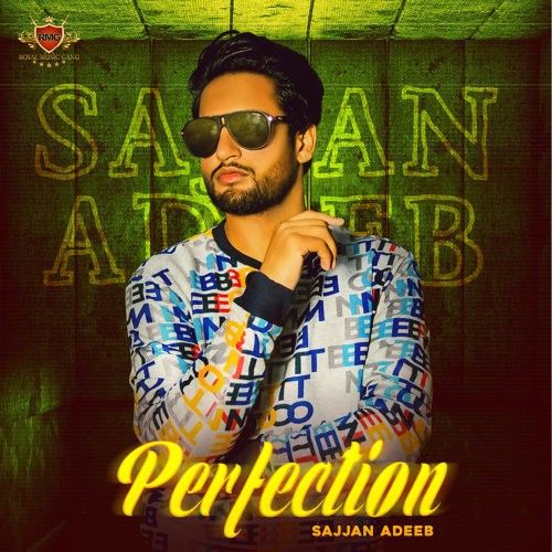 Perfection Sajjan Adeeb mp3 song download, Perfection Sajjan Adeeb full album