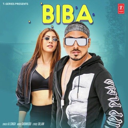 Biba Aj Singh mp3 song download, Biba Aj Singh full album
