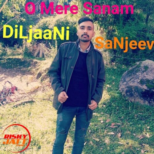 O Mere Sanam DiLjaaNi SaNjeev mp3 song download, O Mere Sanam DiLjaaNi SaNjeev full album