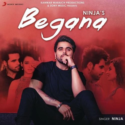 Begana Ninja mp3 song download, Begana Ninja full album