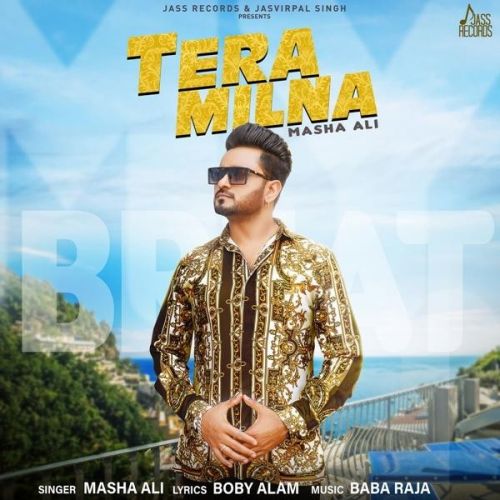 Tera Milna Masha Ali mp3 song download, Tera Milna Masha Ali full album