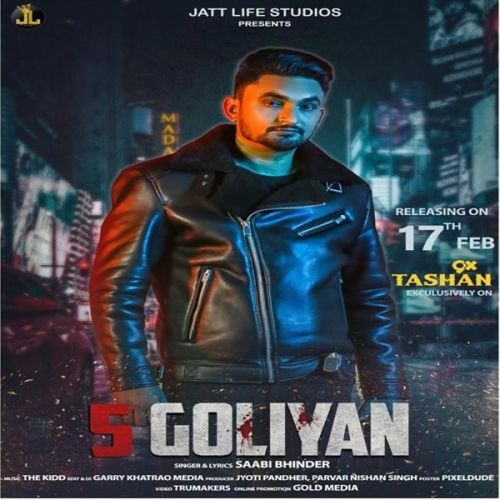 5 Goliyan Sabi Bhinder mp3 song download, 5 Goliyan Sabi Bhinder full album
