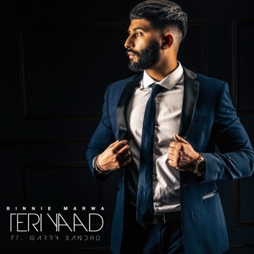 Teri Yaad Garry Sandhu mp3 song download, Teri Yaad Garry Sandhu full album