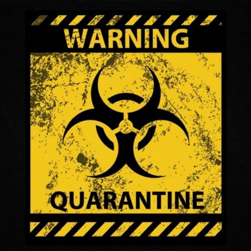 Quarantine Rav Hanjra mp3 song download, Quarantine Rav Hanjra full album