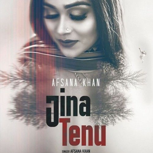 Jina Tenu Afsana Khan mp3 song download, Jina Tenu Afsana Khan full album