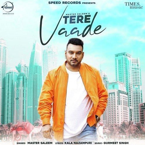Tere Vaade Master Saleem mp3 song download, Tere Vaade Master Saleem full album
