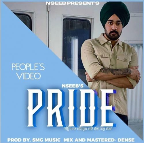 Pride Nseeb mp3 song download, Pride Nseeb full album