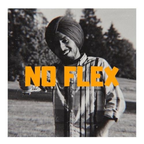 No Flex King Dhillon mp3 song download, No Flex King Dhillon full album