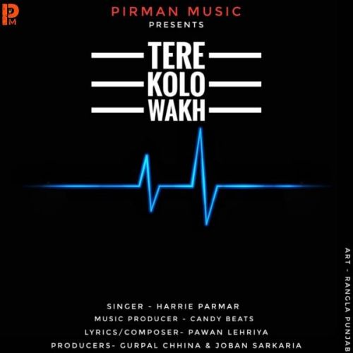 Tere Kolo Wakh Harrie Parmar mp3 song download, Tere Kolo Wakh Harrie Parmar full album