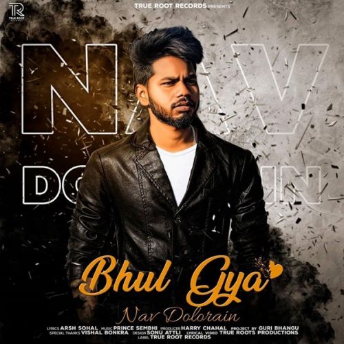 Bhul Gya Nav Dolorain mp3 song download, Bhul Gya Nav Dolorain full album