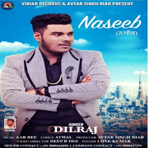 Naseeb Dilraj mp3 song download, Naseeb Dilraj full album