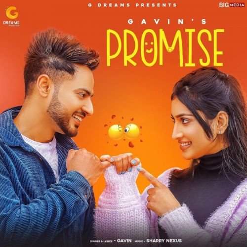 Promise Gavin mp3 song download, Promise Gavin full album