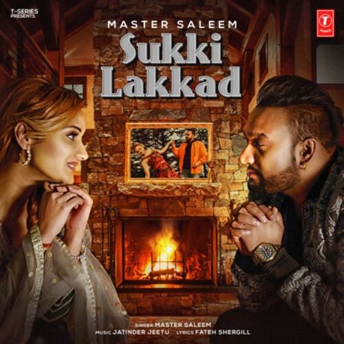 Sukki Lakkad Master Saleem mp3 song download, Sukki Lakkad Master Saleem full album
