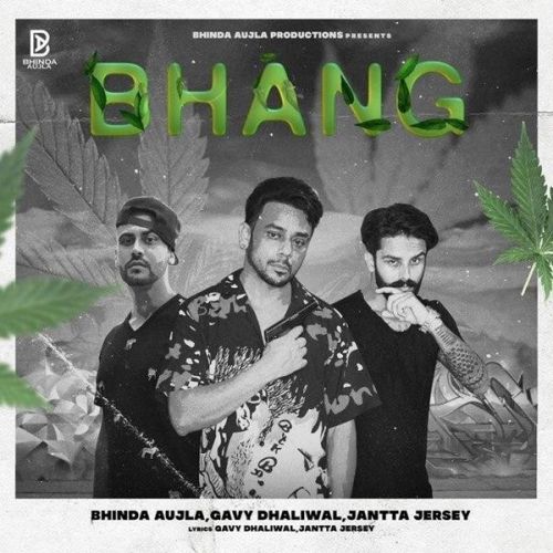 Bhang Bhinda Aujla, Gavy Dhaliwal mp3 song download, Bhang Bhinda Aujla, Gavy Dhaliwal full album