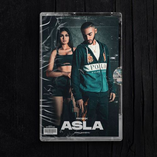 Asla Arsh Sandhu mp3 song download, Asla Arsh Sandhu full album