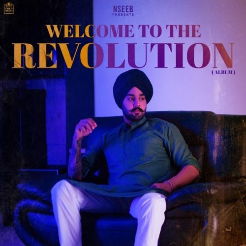 Revolution Nseeb mp3 song download, Welcome To The Revolution Nseeb full album