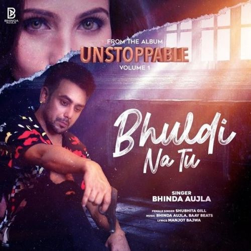 Bhul Di Na Tu Bhinda Aujla, Shubhita Gill mp3 song download, Bhul Di Na Tu Bhinda Aujla, Shubhita Gill full album
