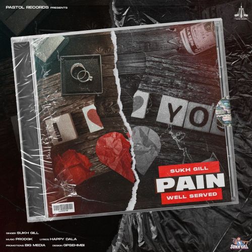 Pain Sukh Gill mp3 song download, Pain Sukh Gill full album