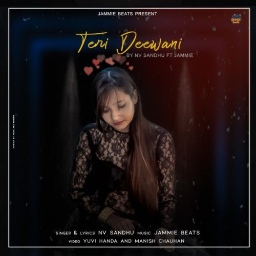 Teri Deewani Nv Sandhu mp3 song download, Teri Deewani Nv Sandhu full album