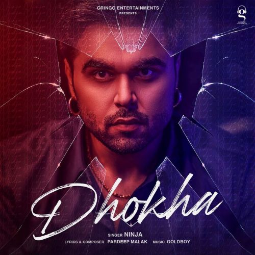 Dhokha Ninja mp3 song download, Dhokha Ninja full album