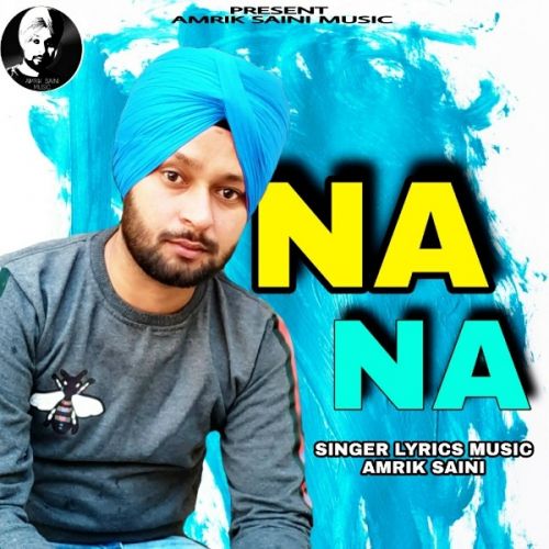 Na Na Amrik Saini mp3 song download, Na Na Amrik Saini full album