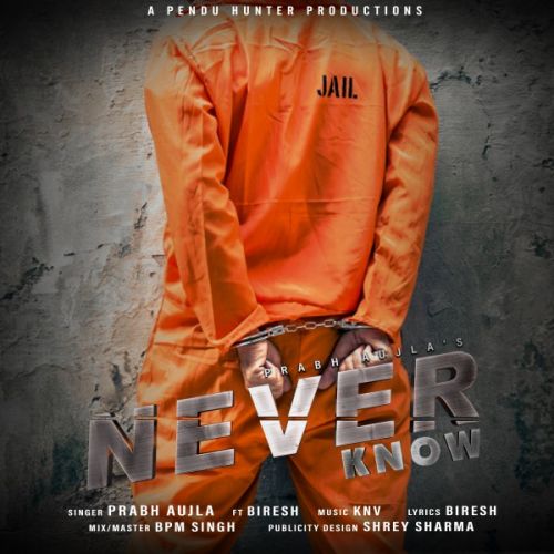 Never Know Prabh Aujla, Biresh mp3 song download, Never Know Prabh Aujla, Biresh full album