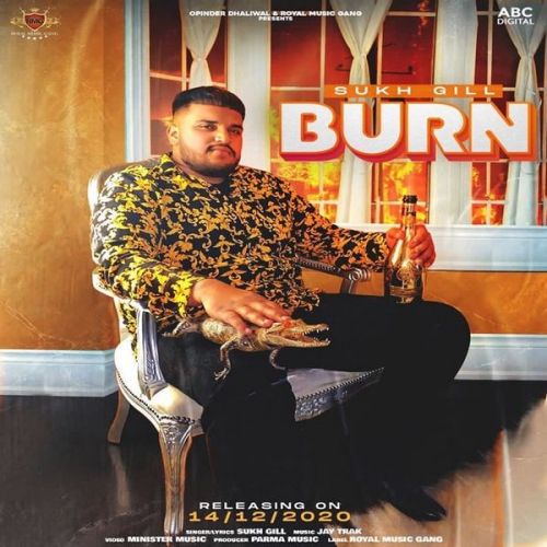 Burn Sukh Gill, Parma Music mp3 song download, Burn Sukh Gill, Parma Music full album
