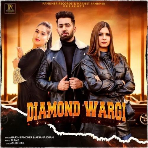 Diamond Wargi Afsana Khan, Harsh Pandher mp3 song download, Diamond Wargi Afsana Khan, Harsh Pandher full album