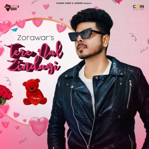 Tere Nal Zindagi Zorawar mp3 song download, Tere Nal Zindagi Zorawar full album