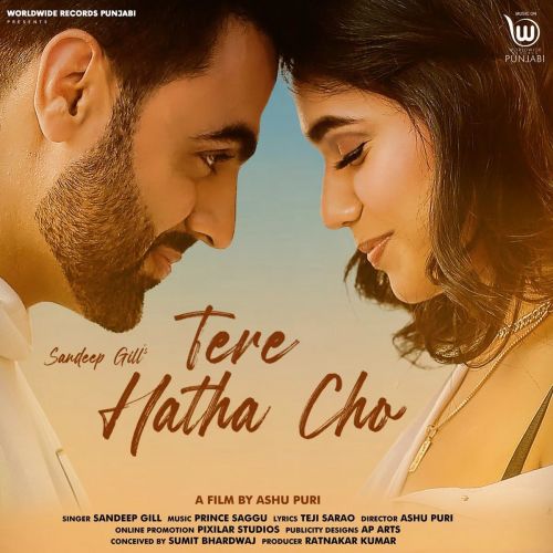 Tere Hatho Cho Sandeep Gill mp3 song download, Tere Hatho Cho Sandeep Gill full album