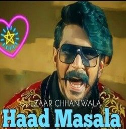 Haad Masala Gulzaar Chhaniwala mp3 song download, Haad Masala Gulzaar Chhaniwala full album