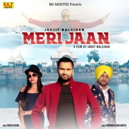 Meri Jaan Jagjit Malsihan mp3 song download, Meri Jaan Jagjit Malsihan full album