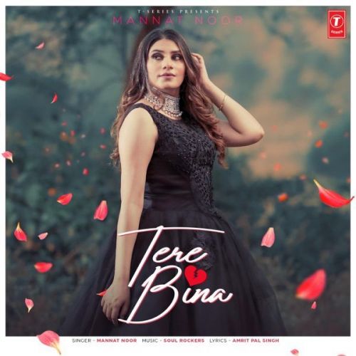 Tere Bina Mannat Noor mp3 song download, Tere Bina Mannat Noor full album
