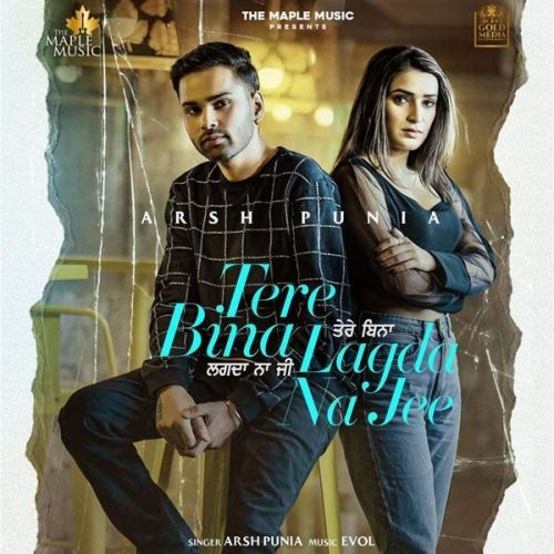 Tere Bina Lagda Na Jee Arsh Punia mp3 song download, Tere Bina Lagda Na Jee Arsh Punia full album