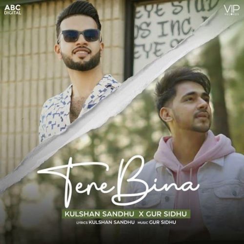 Tere Bina Gur Sidhu, Kulshan Sandhu mp3 song download, Tere Bina Gur Sidhu, Kulshan Sandhu full album