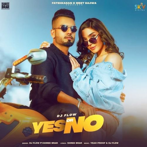 Yes or No DJ Flow, Shree Brar mp3 song download, Yes or No DJ Flow, Shree Brar full album