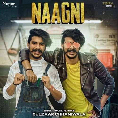 Naagni Gulzaar Chhaniwala mp3 song download, Naagni Gulzaar Chhaniwala full album
