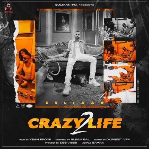 Crazy Life 2 Sultaan mp3 song download, Crazy Life 2 Sultaan full album
