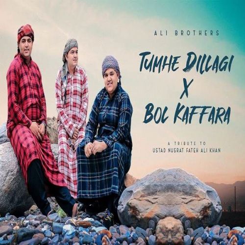 Tumhe Dil Lagi x Bol Kaffara Ali Brothers mp3 song download, Tumhe Dil Lagi x Bol Kaffara Ali Brothers full album