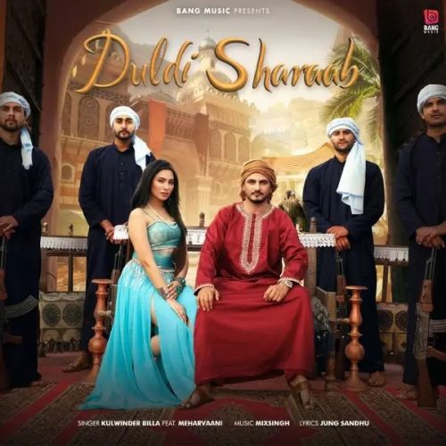 Duldi Sharab Kulwinder Billa, Mehar Vaani mp3 song download, Duldi Sharab Kulwinder Billa, Mehar Vaani full album