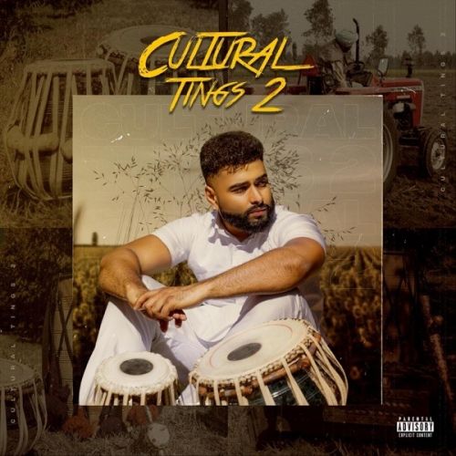 Punjabi Kende AK, Amar Arshi mp3 song download, Cultural Tings 2 AK, Amar Arshi full album