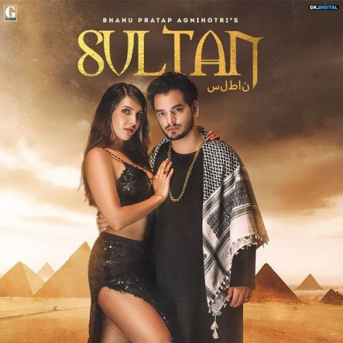Sultan Bhanu Pratap Agnihotri mp3 song download, Sultan Bhanu Pratap Agnihotri full album
