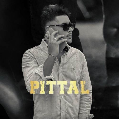 Pittal Laddi Chhajla mp3 song download, Pittal Laddi Chhajla full album