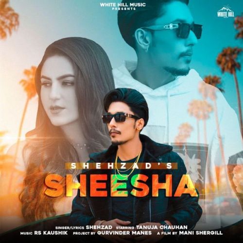Sheesha Shehzad mp3 song download, Sheesha Shehzad full album