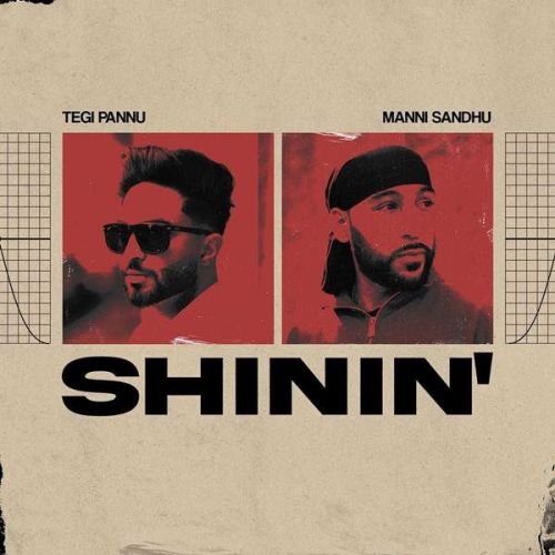 Shinin Tegi Pannu mp3 song download, Shinin Tegi Pannu full album