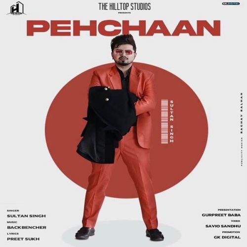 Pehchaan Sultan Singh mp3 song download, Pehchaan Sultan Singh full album