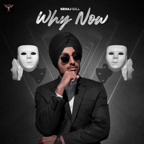 Why Now Sehaj Gill mp3 song download, Why Now Sehaj Gill full album