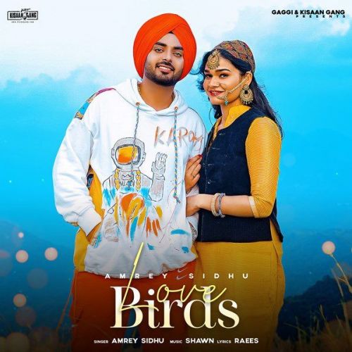 Love Birds Amrey Sidhu mp3 song download, Love Birds Amrey Sidhu full album