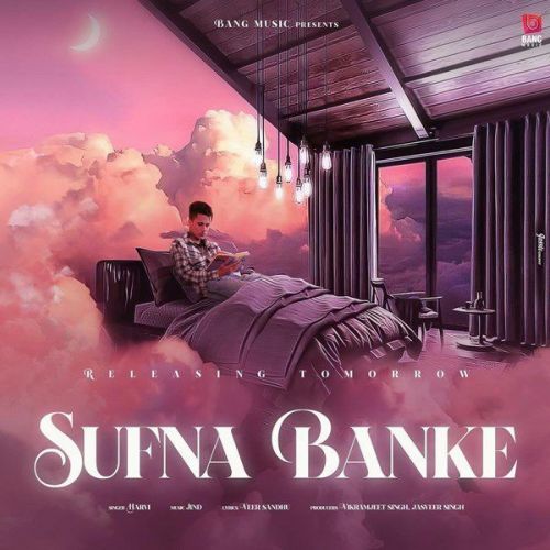 Sufna Banke Harvi mp3 song download, Sufna Banke Harvi full album