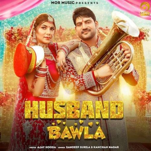 Husband Bawla Sandeep Surila mp3 song download, Husband Bawla Sandeep Surila full album